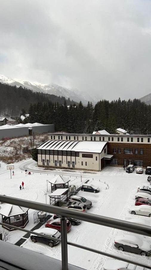 Coca Apart Mountain View Sinaia Bagian luar foto