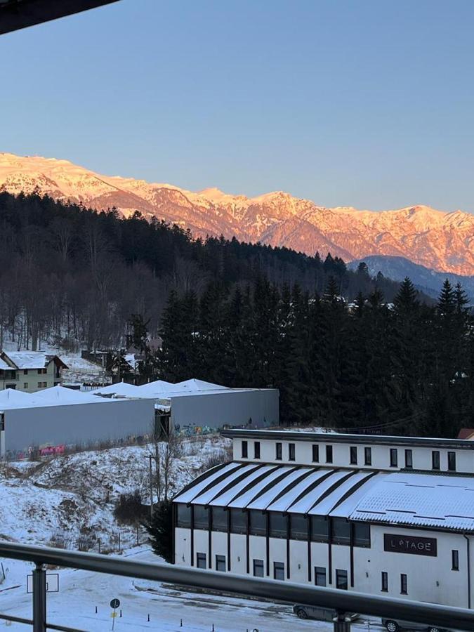 Coca Apart Mountain View Sinaia Bagian luar foto