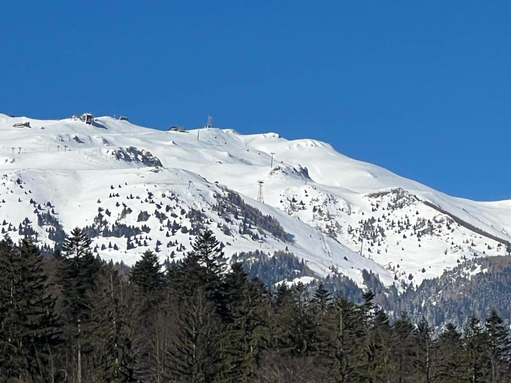 Coca Apart Mountain View Sinaia Bagian luar foto