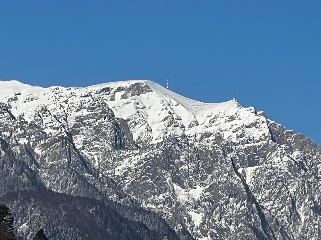 Coca Apart Mountain View Sinaia Bagian luar foto