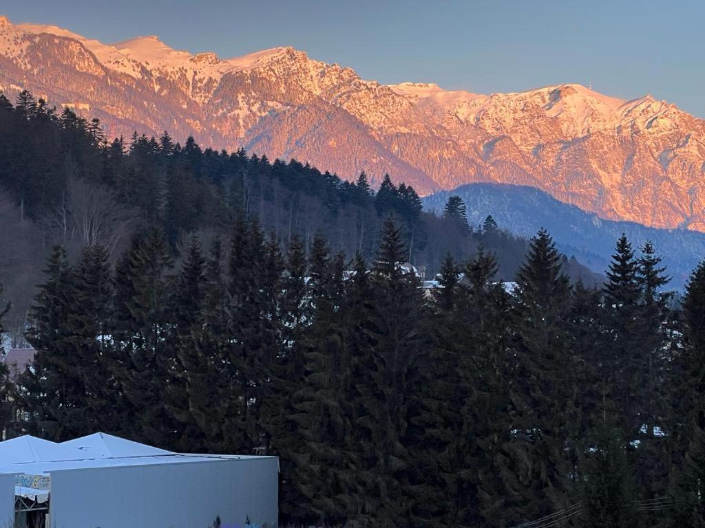 Coca Apart Mountain View Sinaia Bagian luar foto