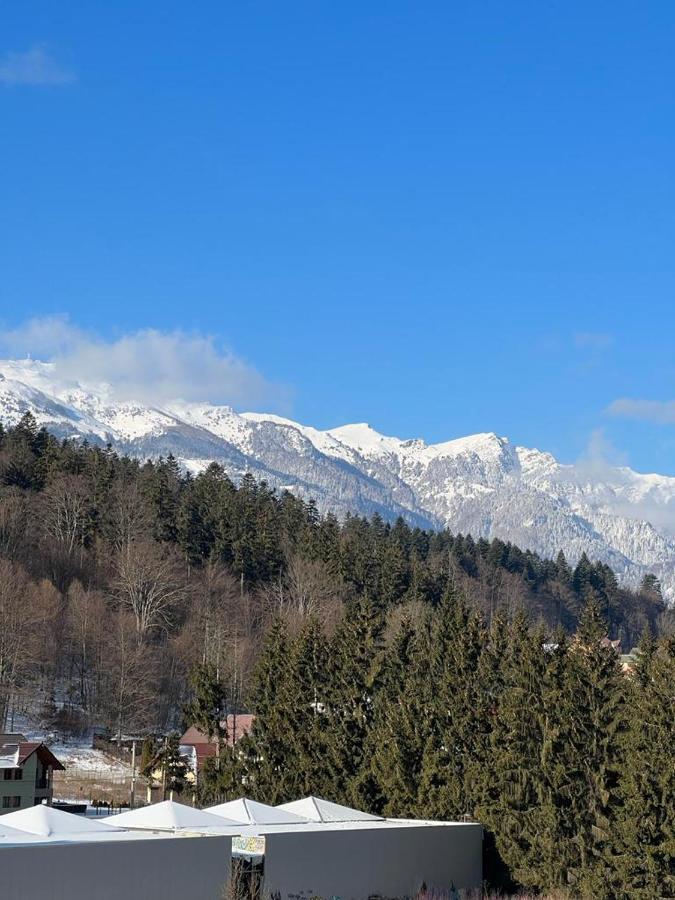Coca Apart Mountain View Sinaia Bagian luar foto
