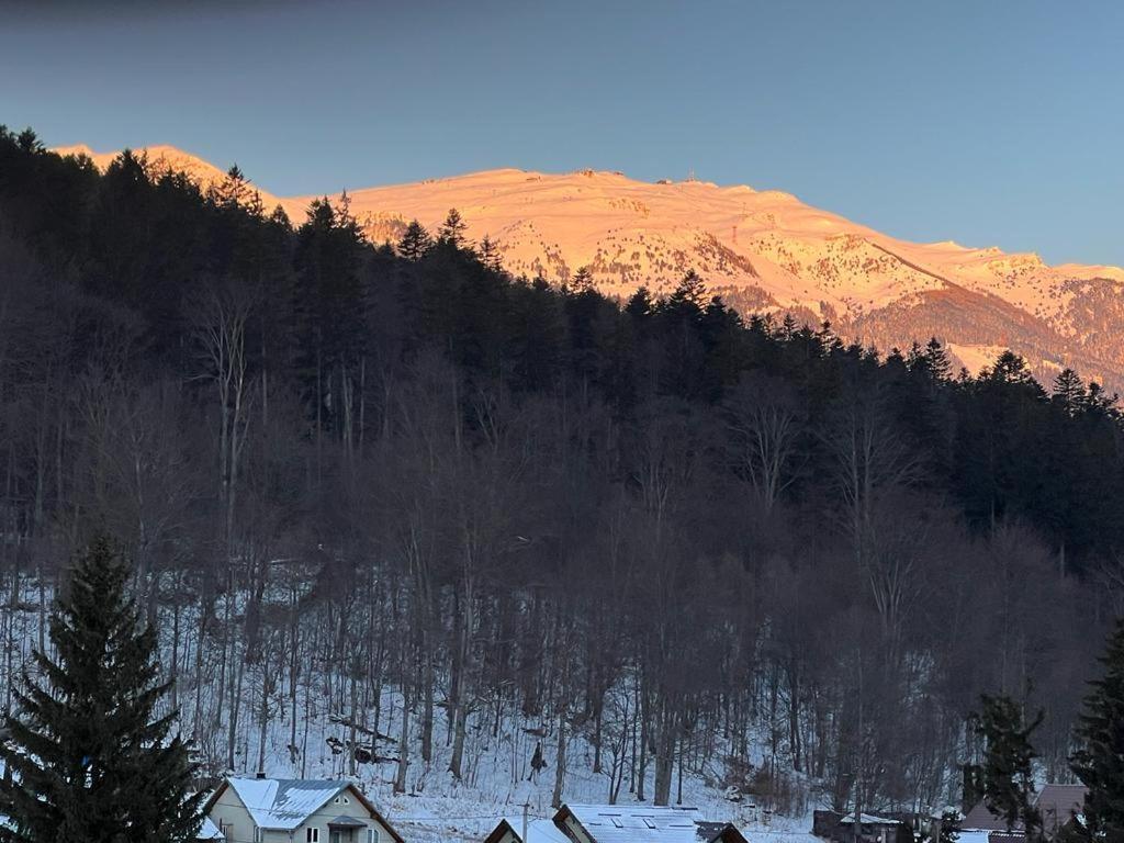 Coca Apart Mountain View Sinaia Bagian luar foto