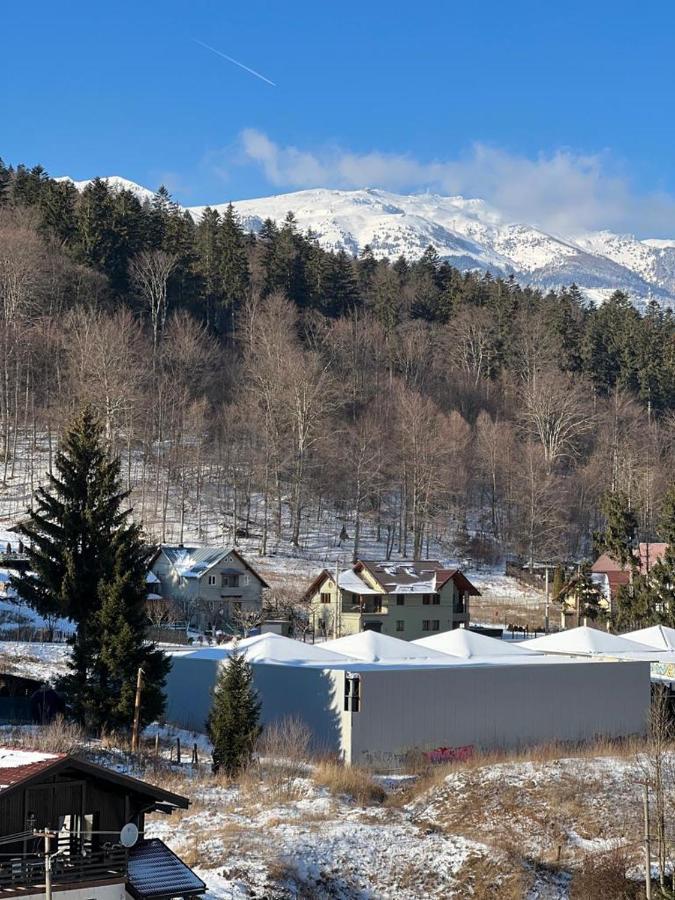 Coca Apart Mountain View Sinaia Bagian luar foto