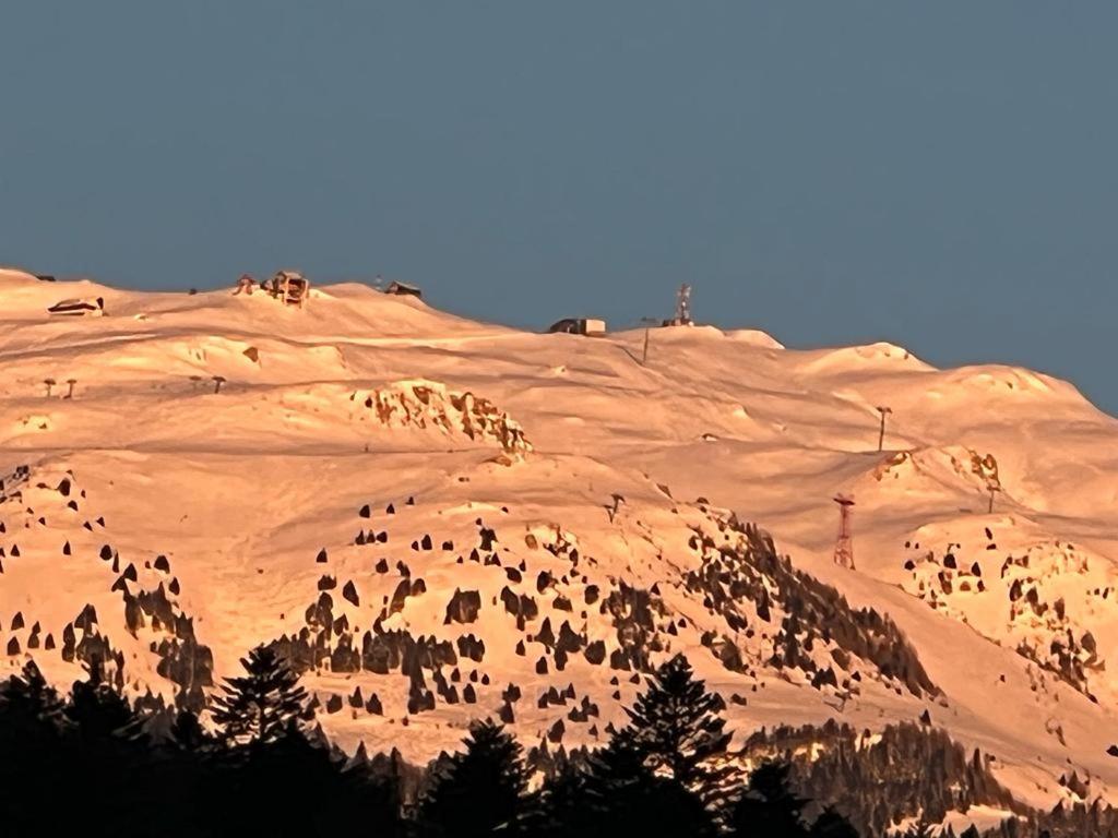 Coca Apart Mountain View Sinaia Bagian luar foto