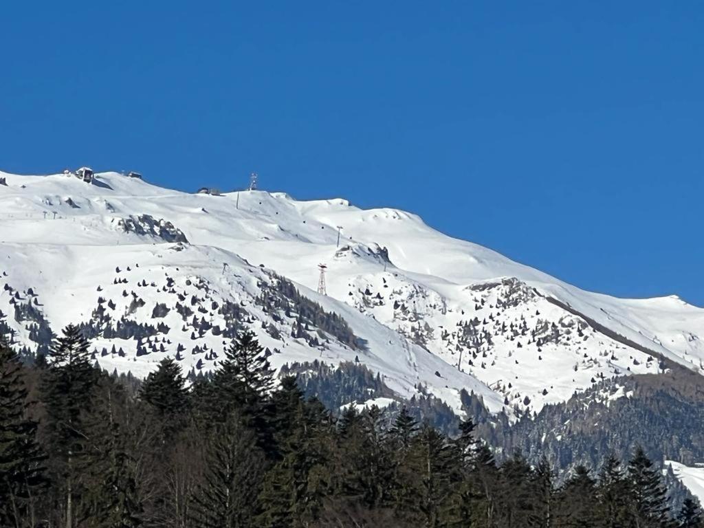 Coca Apart Mountain View Sinaia Bagian luar foto