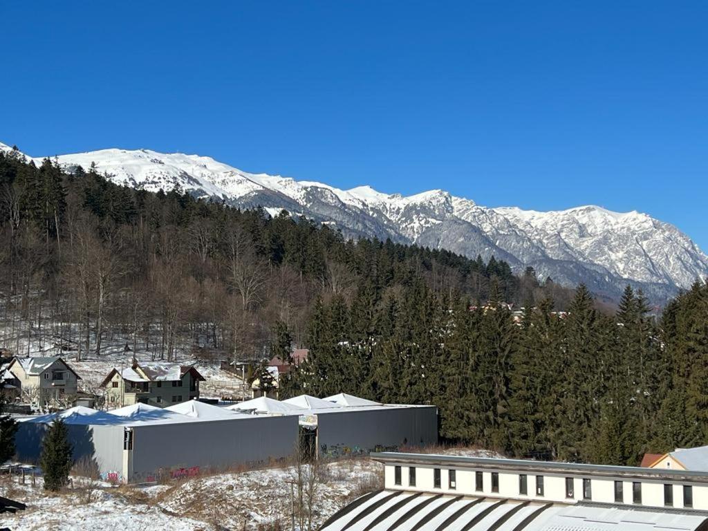 Coca Apart Mountain View Sinaia Bagian luar foto